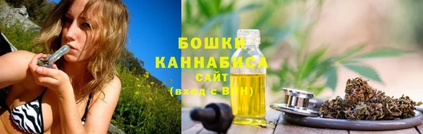 прущие грибы Арсеньев