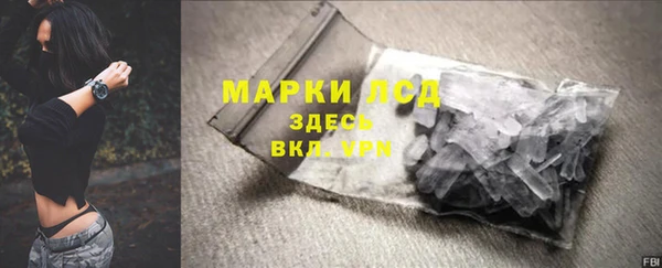 прущие грибы Арсеньев