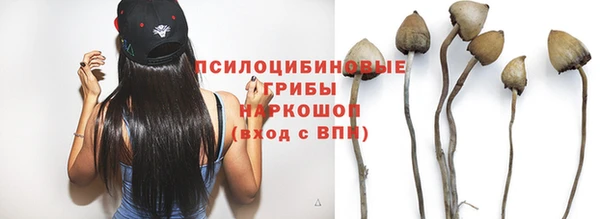 прущие грибы Арсеньев