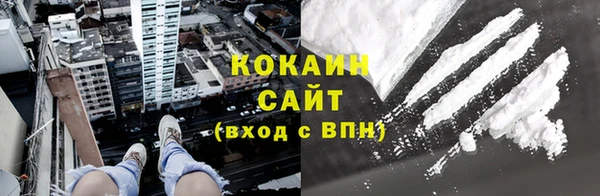 прущие грибы Арсеньев