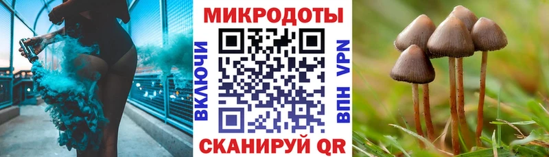 Купить закладки  Старица  Галлюциногенные грибы Psilocybe 